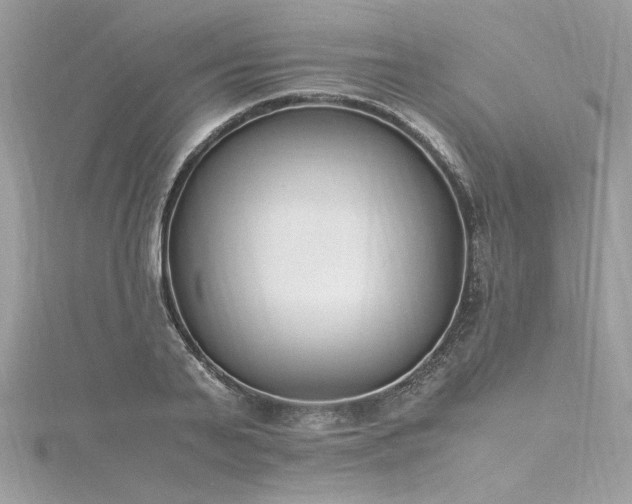 X0000116290791200911301418