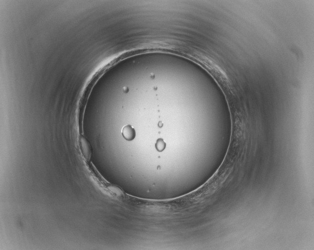 X0000116290792200911301418