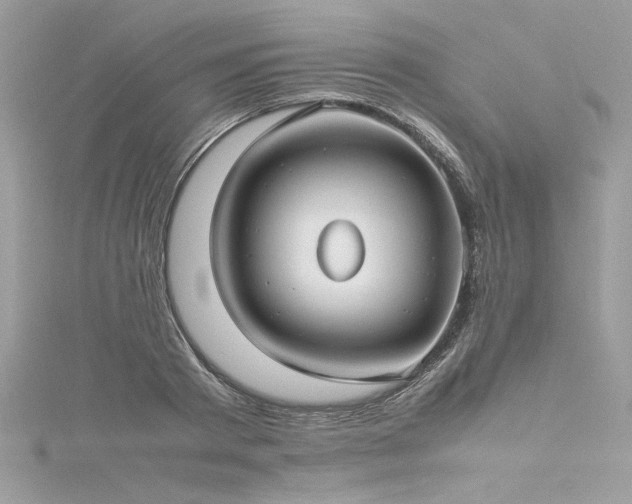 X0000116290793200911301418