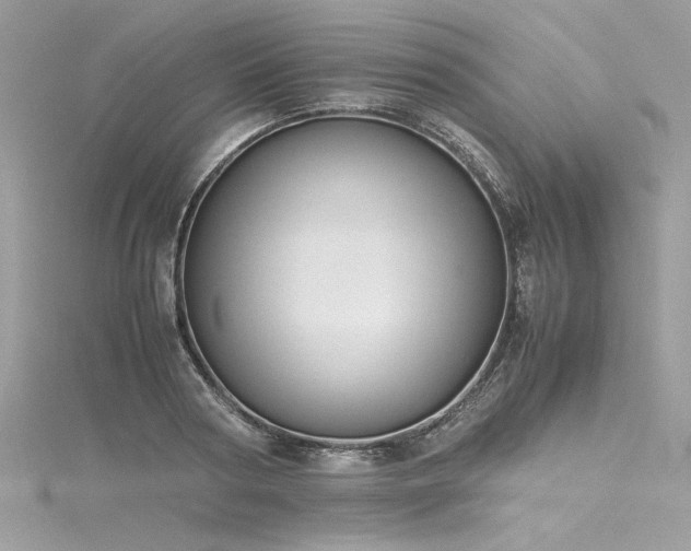 X0000116290794200911301418