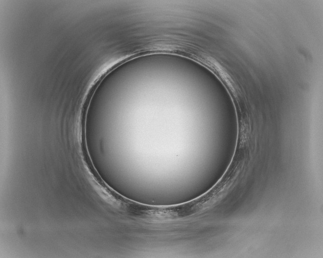 X0000116290795200911301418