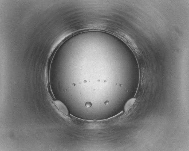 X0000116290796200911301418