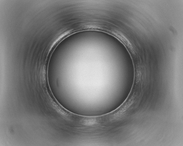 X0000116290798200911301418