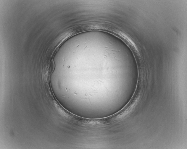 X0000116290801200911301418