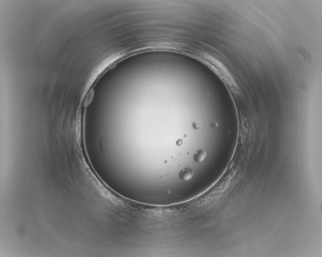 X0000116290804200911301417