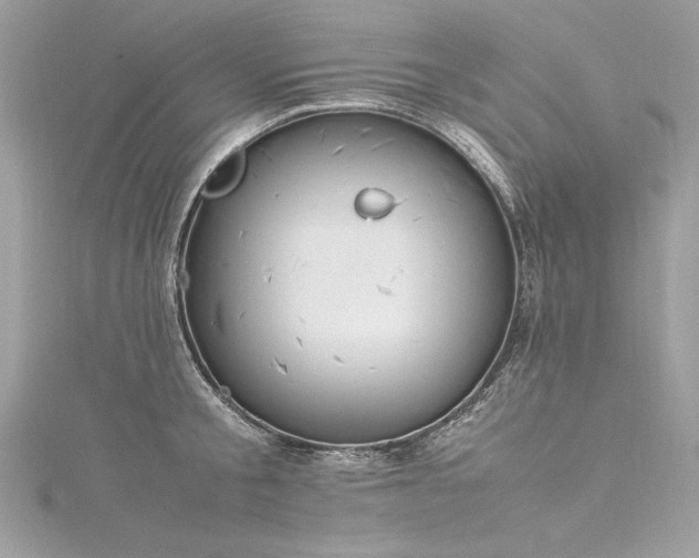 X0000116290805200911301417