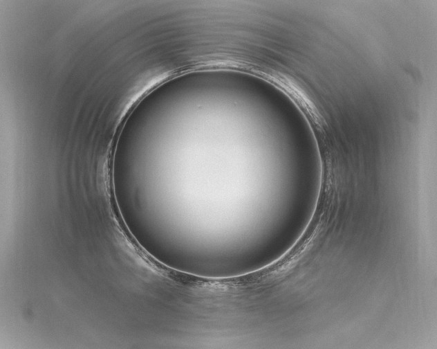 X0000116290806200911301417