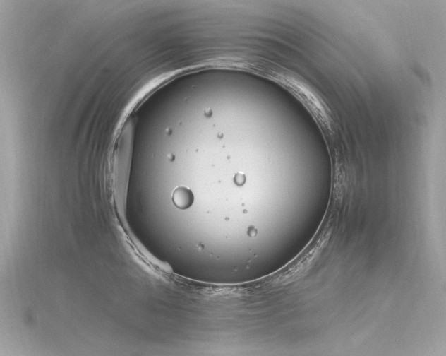 X0000116290808200911301417