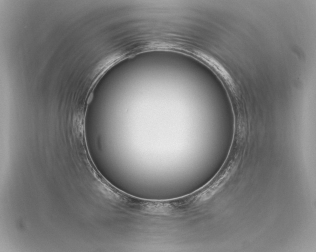 X0000116290809200911301417