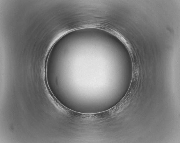 X0000116290811200911301417