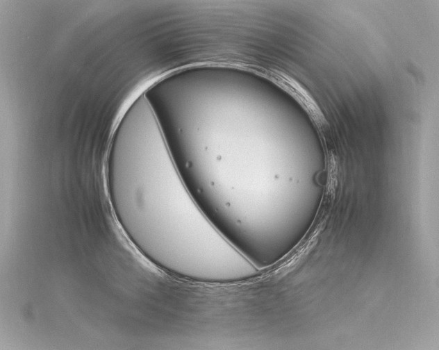 X0000116290812200911301417