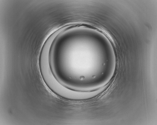 X0000116290813200911301417