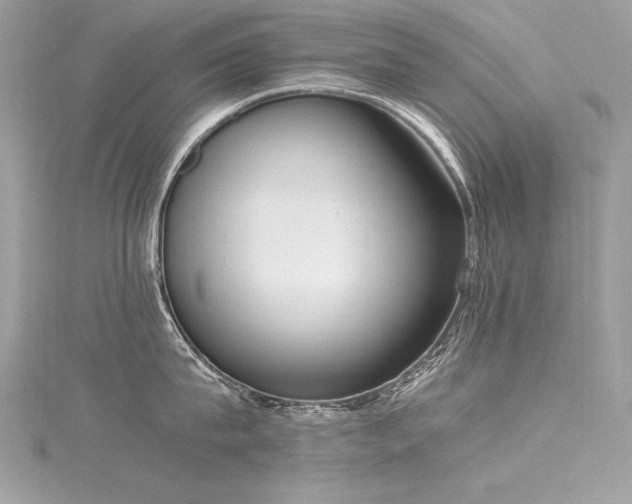 X0000116290815200911301417