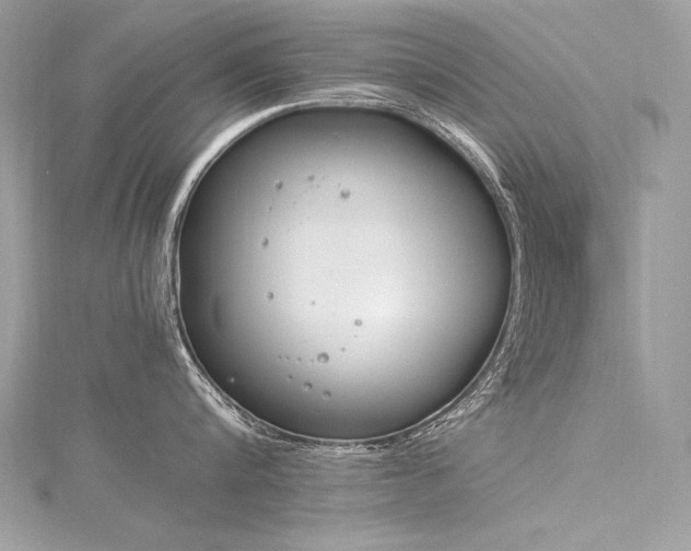 X0000116290816200911301417