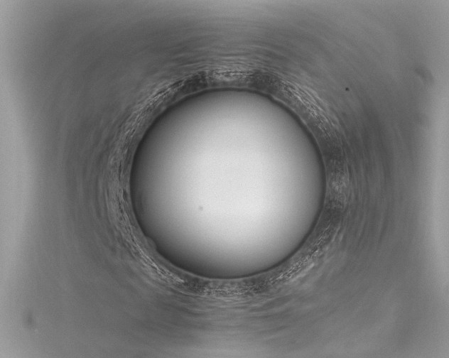 X0000116290817200911301417