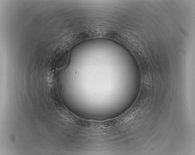 X0000116290818200911301417