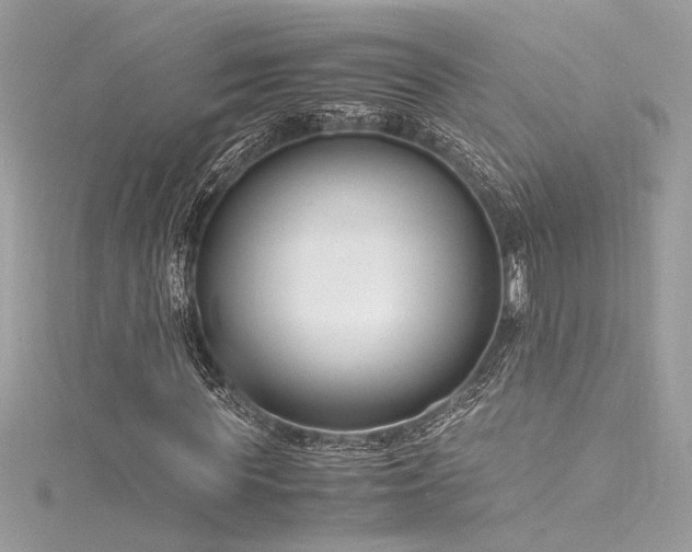 X0000116290819200911301417