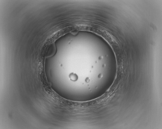 X0000116290821200911301417