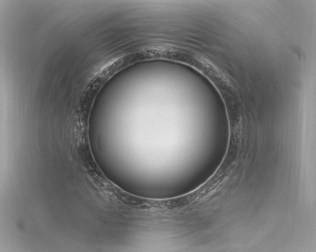 X0000116290822200911301417