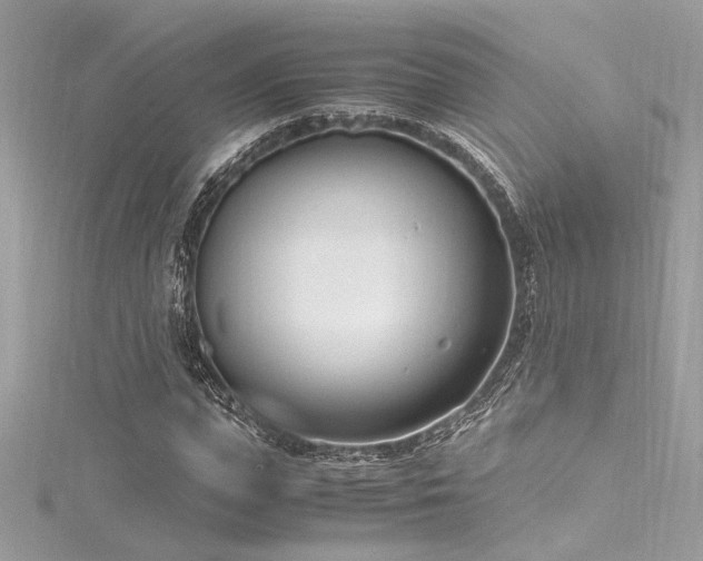 X0000116290823200911301417