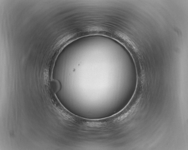 X0000116290825200911301417