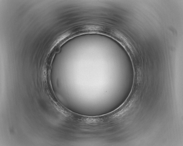 X0000116290827200911301417