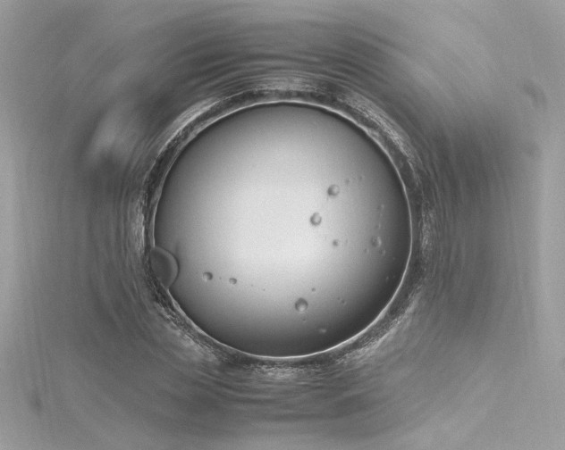 X0000116290829200911301417