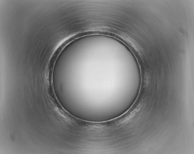 X0000116290830200911301417