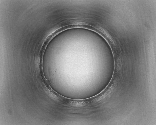 X0000116290831200911301417