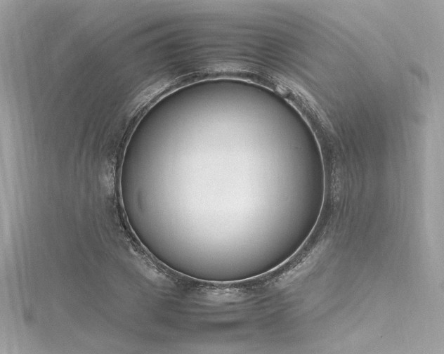 X0000116290833200911301417