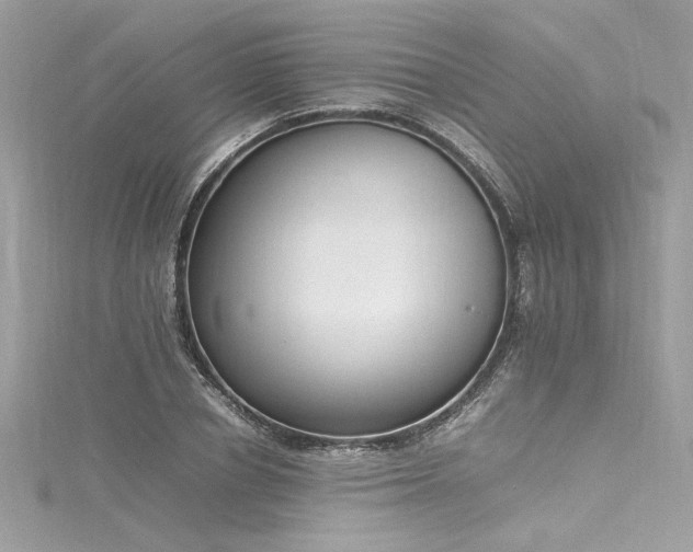 X0000116290834200911301417