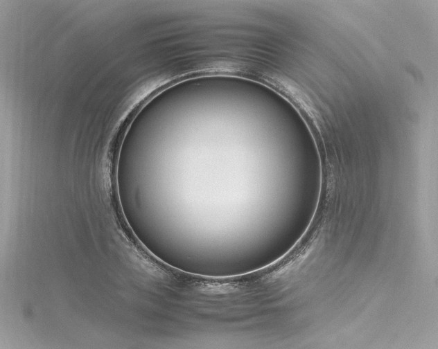 X0000116290835200911301417