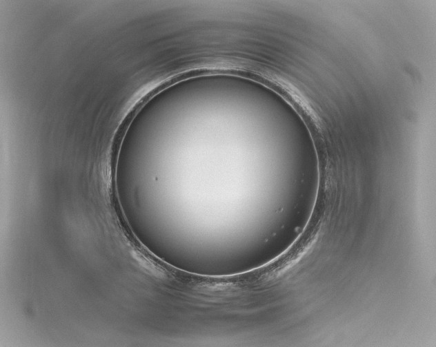 X0000116290837200911301417