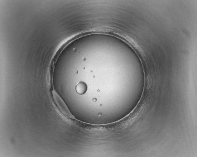 X0000116290838200911301417