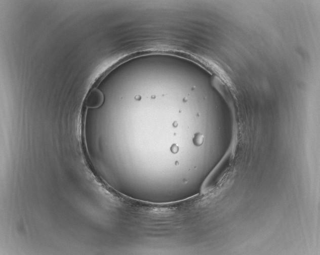 X0000116290839200911301417