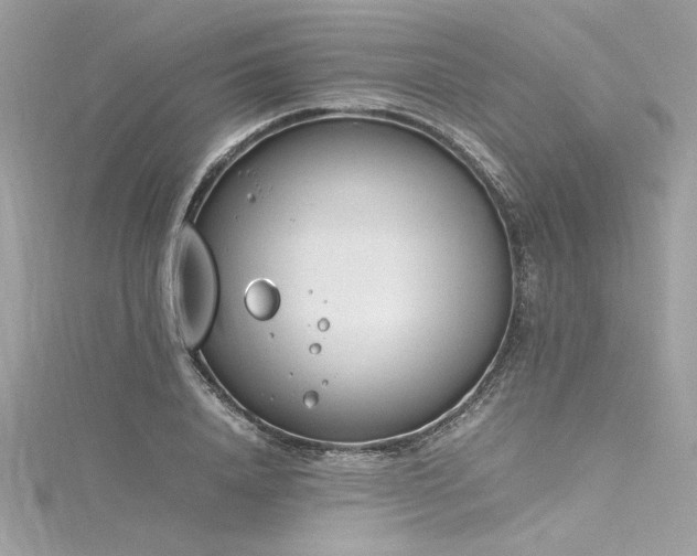 X0000116290840200911301417