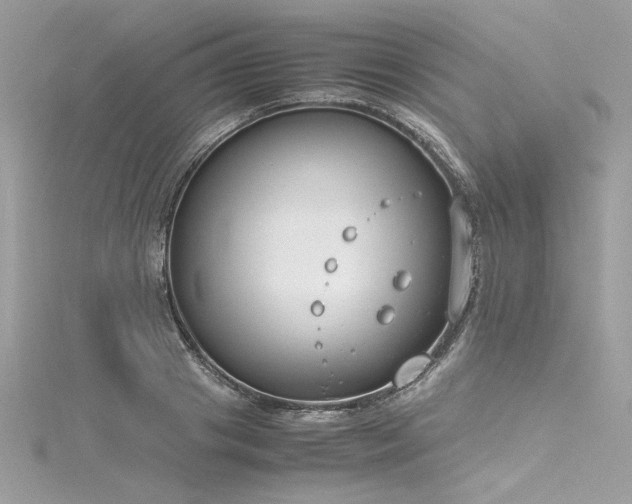 X0000116290841200911301417