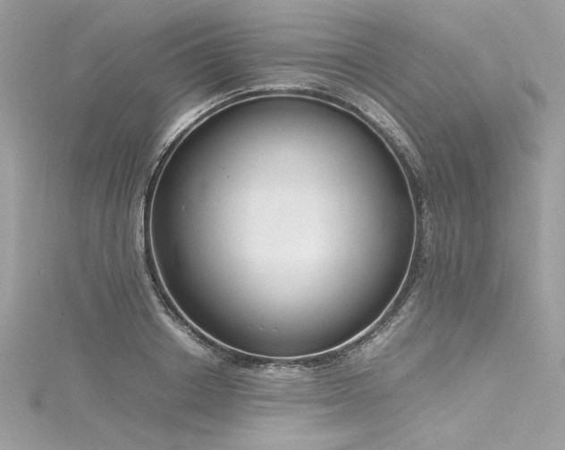 X0000116290842200911301417