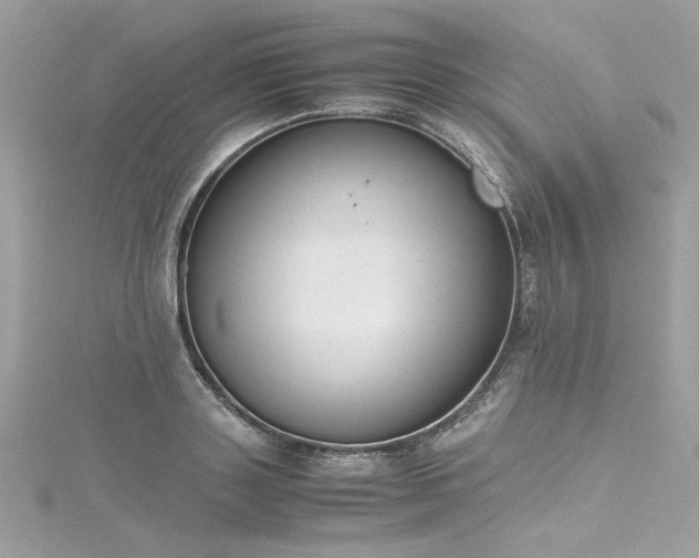 X0000116290843200911301417