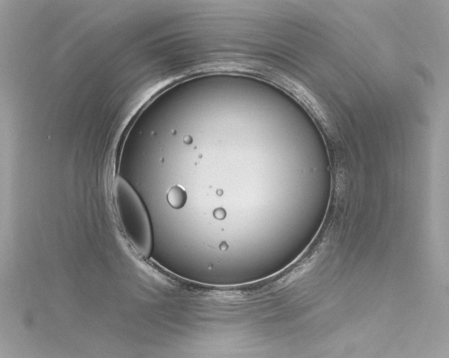 X0000116290844200911301417