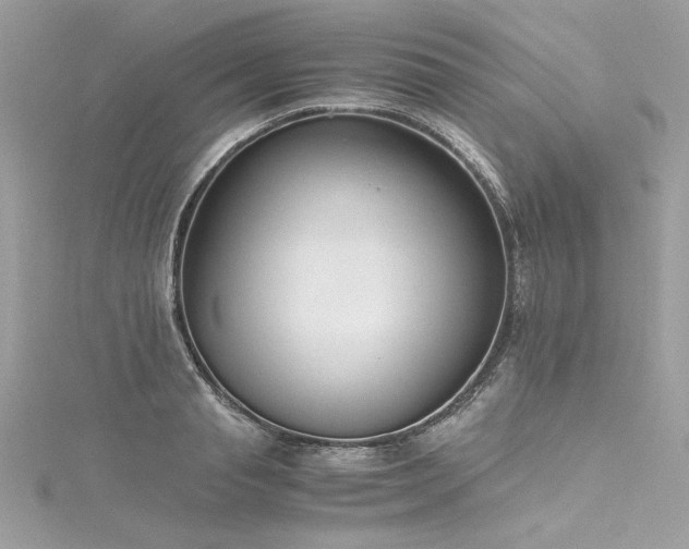 X0000116290845200911301417