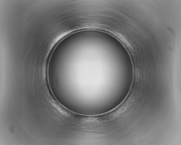 X0000116290846200911301417