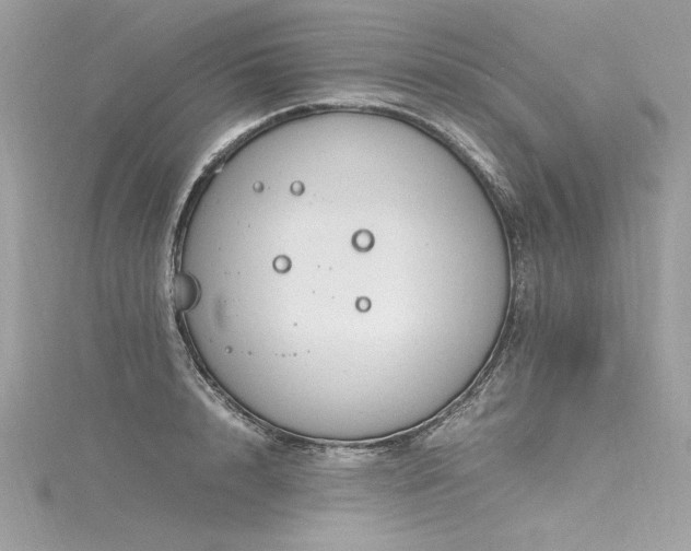 X0000116290848200911301417