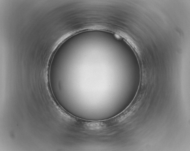 X0000116290853200911301417