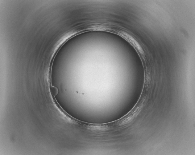 X0000116290855200911301417