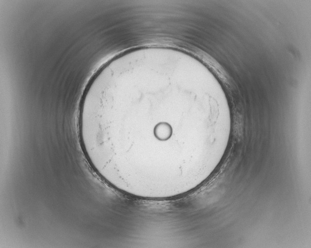 X0000116290856200911301417