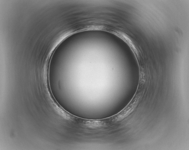 X0000116290859200911301417