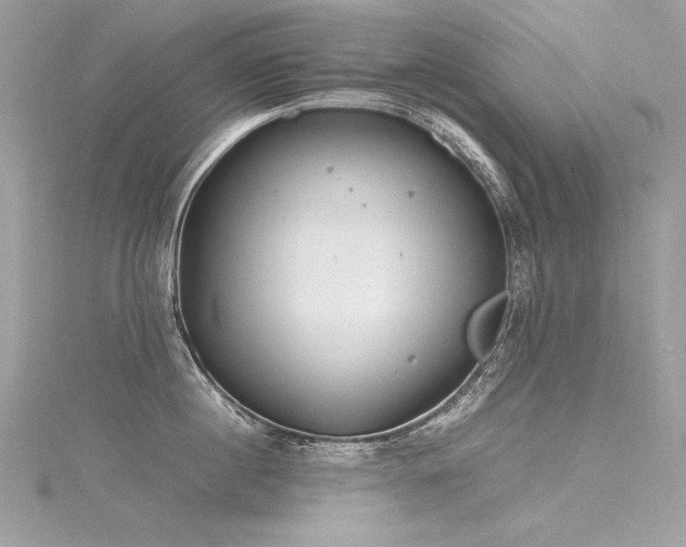 X0000116290860200911301417