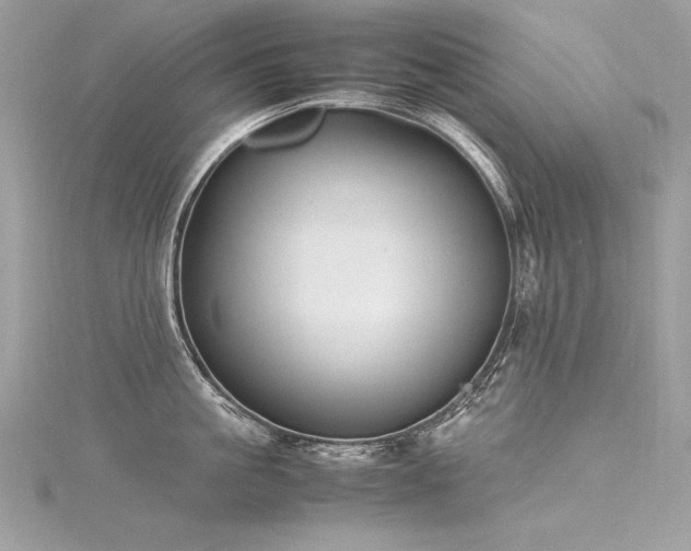 X0000116290861200911301417