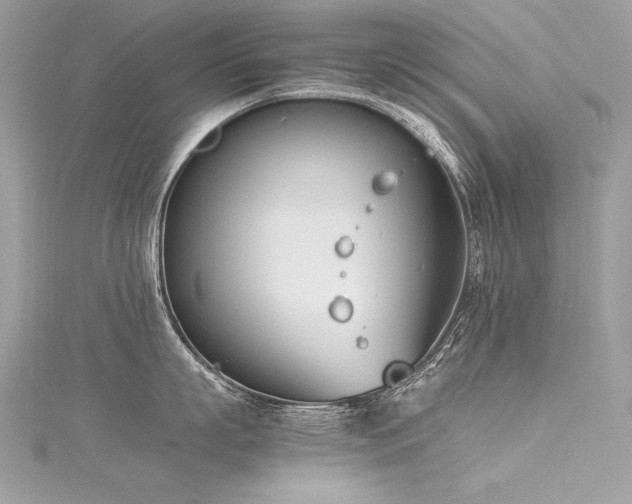 X0000116290863200911301417